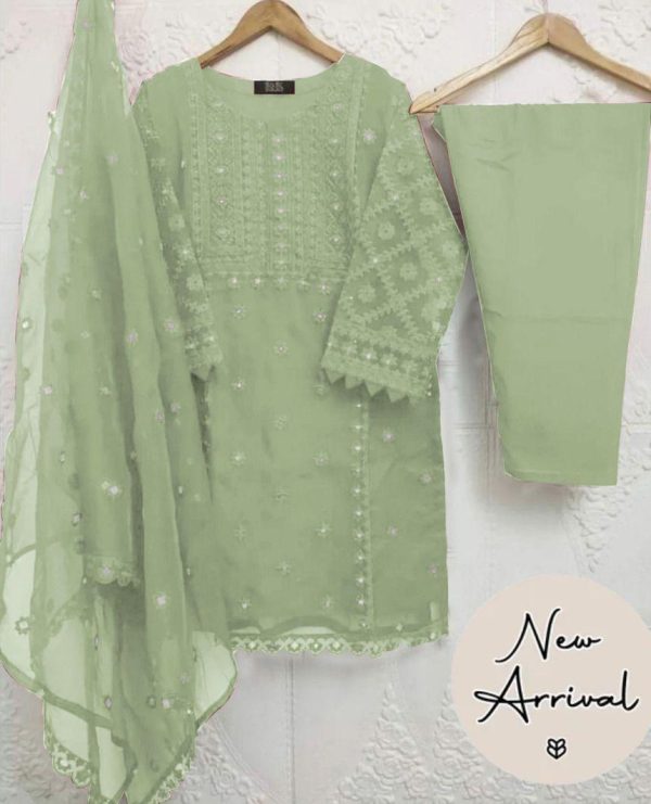 Stunning Women's Stitched Suit Organza - 3 Pcs with Embroidered Design - Image 5