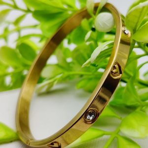 Adjustable Cartier Heart Charm Bracelet – Imported Luxury Bracelet | Best Quality Artificial Bracelet For Girls & Women | Bracelet For Every Occasion | Elegant Design ✨