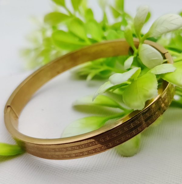 Adjustable Cartier Heart Charm Bracelet – Imported Luxury Gold Bracelet | Best Quality Artificial Bracelet For Girls & Women | Bracelet For Every Occasion | Elegant Design ✨ - Image 2