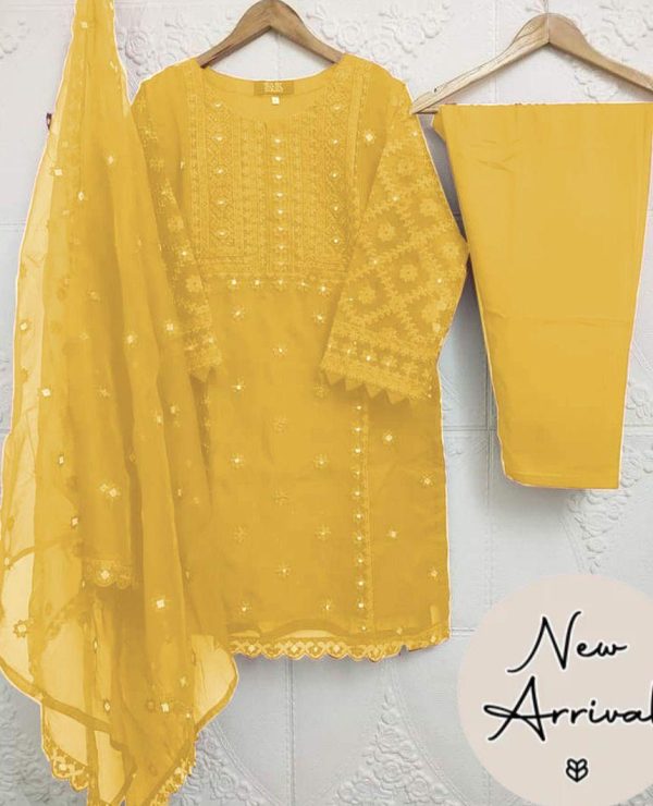Stunning Women's Stitched Suit Organza - 3 Pcs with Embroidered Design