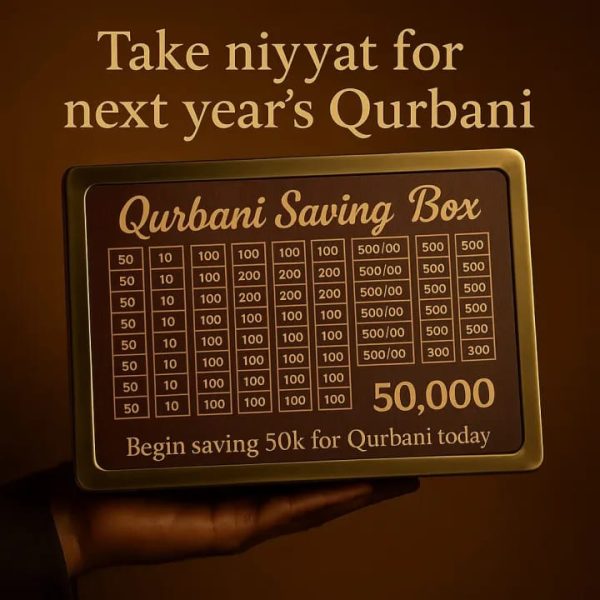 Wooden saving box - Umrah saving box / Wooden Box For Saving Money - Image 2