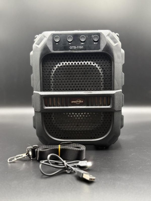 GTS-1191 10W Wireless Portable Bluetooth Speaker with 6.5" Subwoofer, FM Radio, 1200mAh Battery, Loud Volume, USB/AUX/TF Support, Belt Strap for Outdoor Travel, Party, Picnic, Camping Use - Image 10