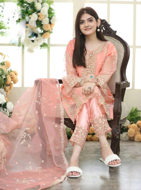 3 Pcs Women's Stitched Embroidered Suit - Image 2