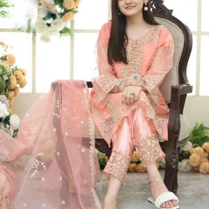 3 Pcs Women's Stitched Embroidered Suit