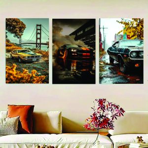 Set Of 3 Luxary Cars Sticky Canvas Frames For Wall Decore / Sticky Phototiles