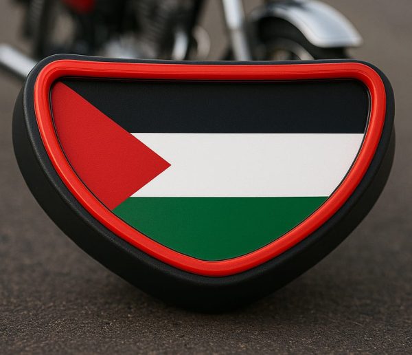 Palestine Back Light – Stylish Rear Light for All 70cc Bikes | Best Quality Back Light For 70cc Motorcycle