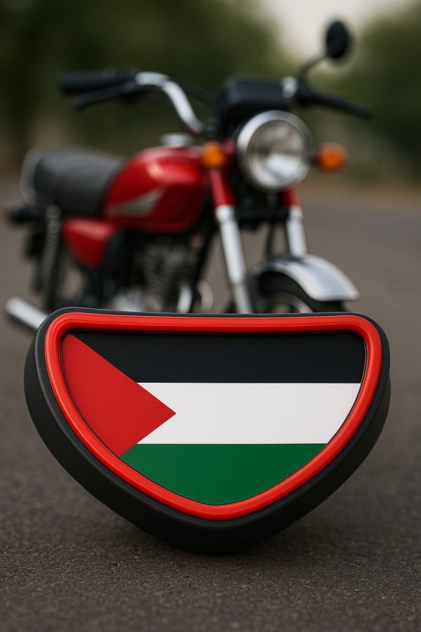Palestine Back Light – Stylish Rear Light for All 70cc Bikes | Best Quality Back Light For 70cc Motorcycle - Image 5