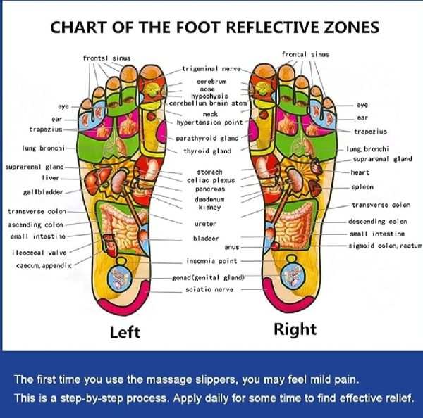 Blueidea Acupressure Massage Slippers for Sugar Patients – Foot Therapy Reflexology Sandals with Acupuncture Points & Non-Slip Sole - Image 7